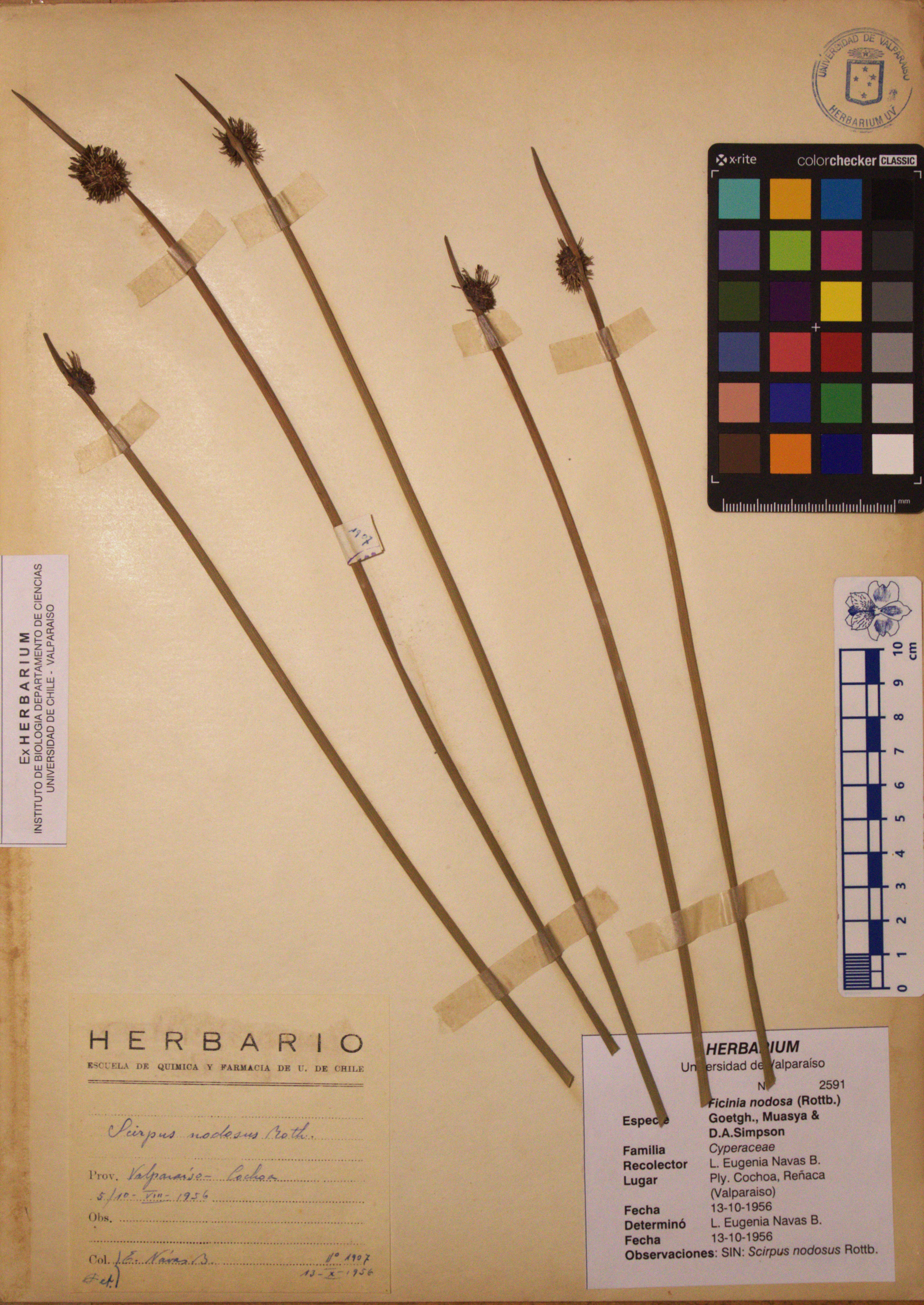 ANG-2591.jpg
