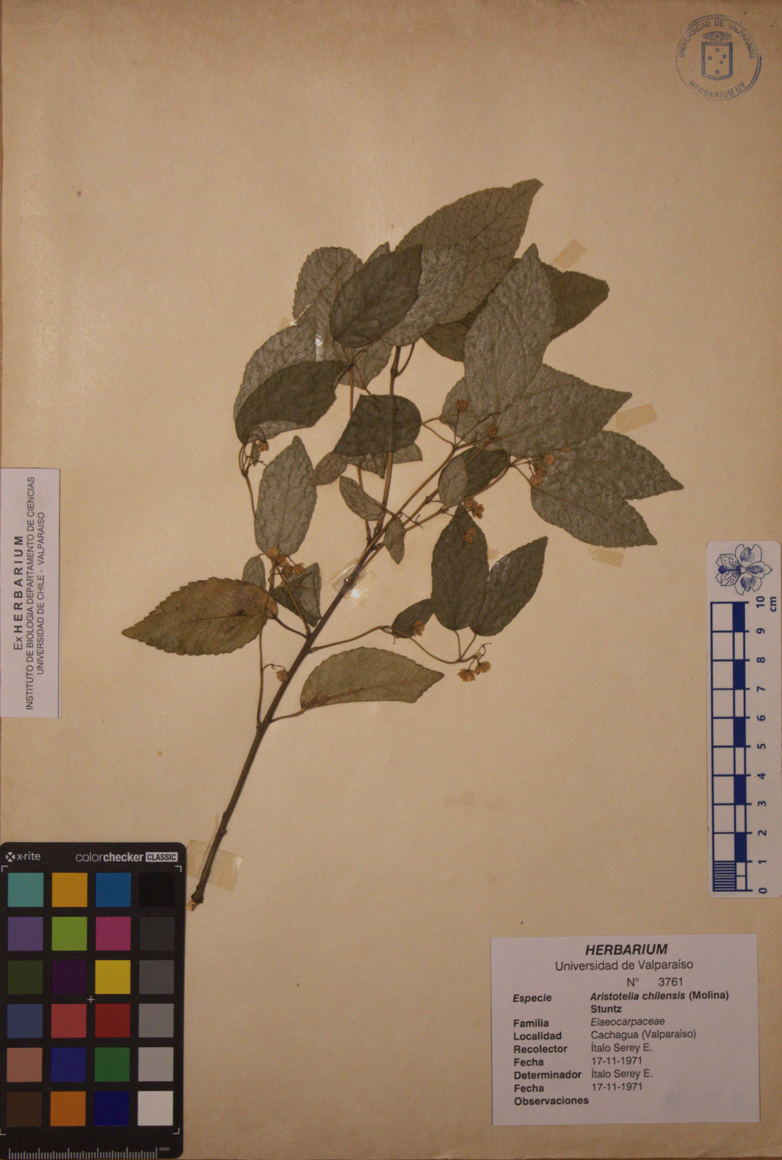 ANG-3761.jpg