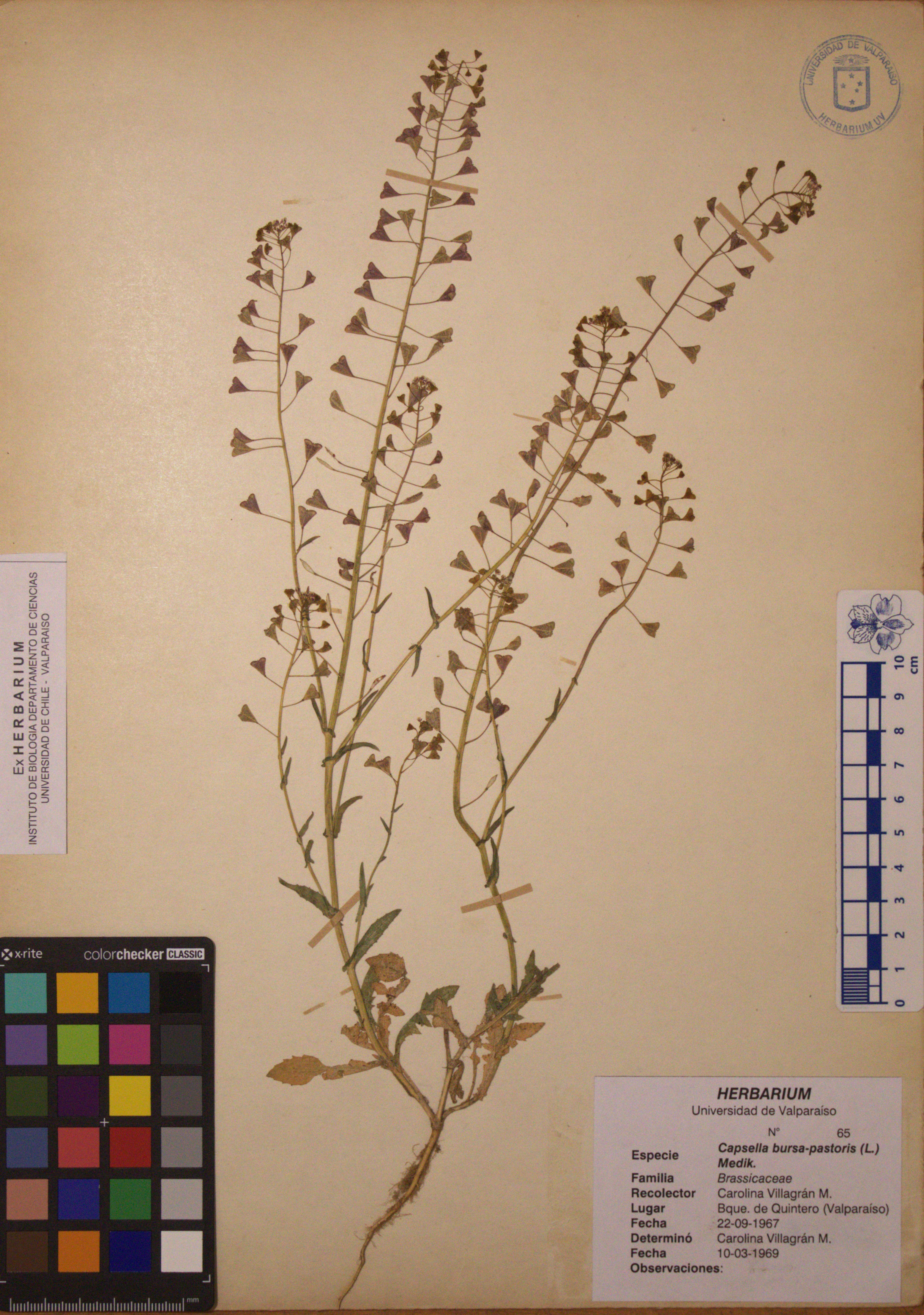 ANG-0065.jpg